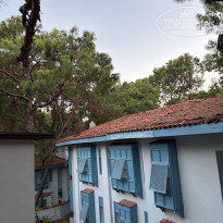 фото из отзыва ID 2730412