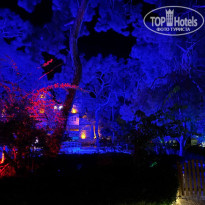 фото из отзыва ID 2730412