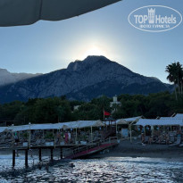 фото из отзыва ID 2730412