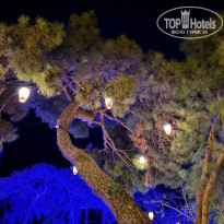 фото из отзыва ID 2730412