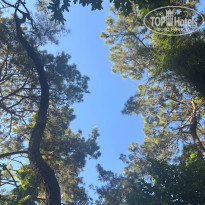 фото из отзыва ID 2730412