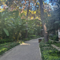 фото из отзыва ID 2730412