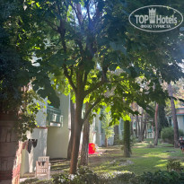 фото из отзыва ID 2730412