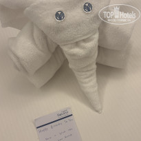 фото из отзыва ID 2730441