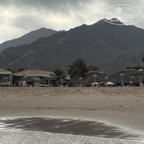 фото из отзыва ID 2730441