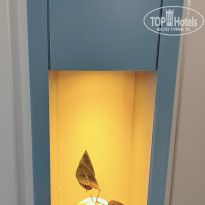 фото из отзыва ID 2730478