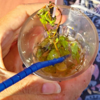 фото из отзыва ID 2730578