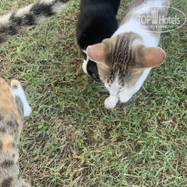 фото из отзыва ID 2730587