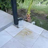 фото из отзыва ID 2730626