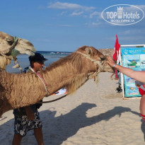 фото из отзыва ID 2730624