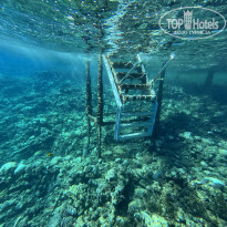 фото из отзыва ID 2730647