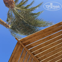 фото из отзыва ID 2730647