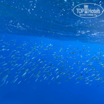 фото из отзыва ID 2730647