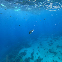 фото из отзыва ID 2730647