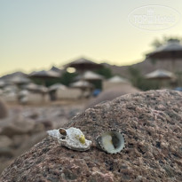 фото из отзыва ID 2730647