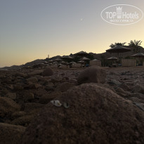 фото из отзыва ID 2730647