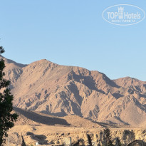 фото из отзыва ID 2730647