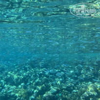 фото из отзыва ID 2730647