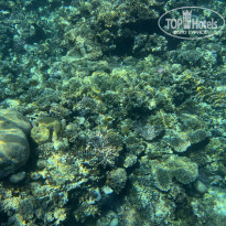 фото из отзыва ID 2730647