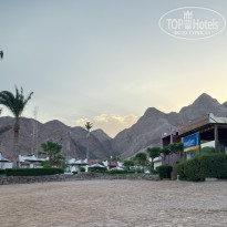 фото из отзыва ID 2730647