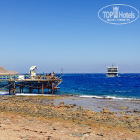 фото из отзыва ID 2730647