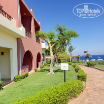 фото из отзыва ID 2730647