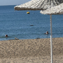 фото из отзыва ID 2730662