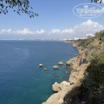 фото из отзыва ID 2730690