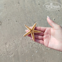 фото из отзыва ID 2730702