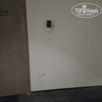 фото из отзыва ID 2730713