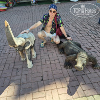 фото из отзыва ID 2730718