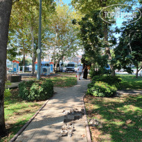 фото из отзыва ID 2730709