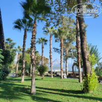 фото из отзыва ID 2730709