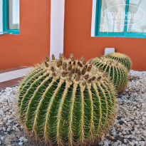 фото из отзыва ID 2730754