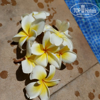 фото из отзыва ID 2730764