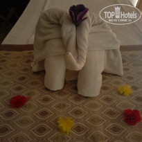 фото из отзыва ID 2730766