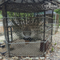 фото из отзыва ID 2730776