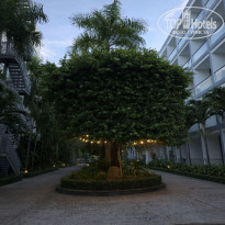 фото из отзыва ID 2730776