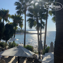 фото из отзыва ID 2730809