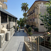 фото из отзыва ID 2730809