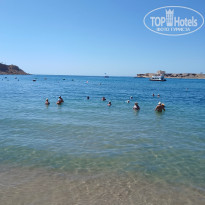 фото из отзыва ID 2730827