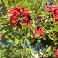 фото из отзыва ID 2730846