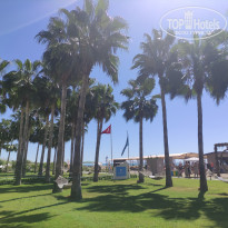 фото из отзыва ID 2730853