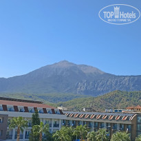 фото из отзыва ID 2730863