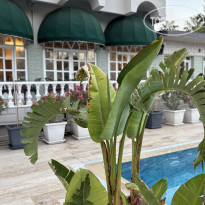 фото из отзыва ID 2730865