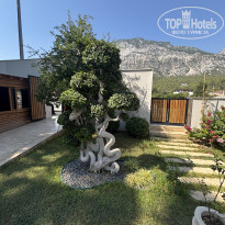 фото из отзыва ID 2730865