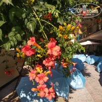 фото из отзыва ID 2730884