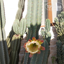 фото из отзыва ID 2730884