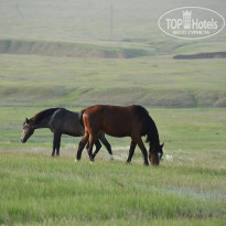 фото из отзыва ID 2730583