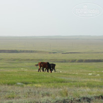 фото из отзыва ID 2730583